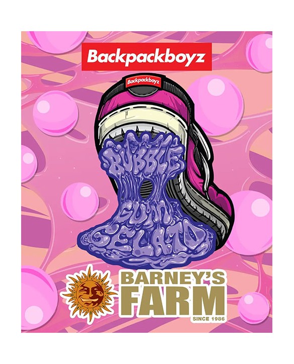 Bubblegum Gelato | Barney's Farm