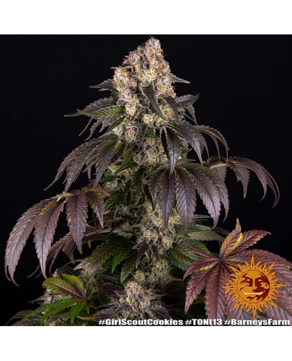 Girl Scout Cookies | Barney's Farm