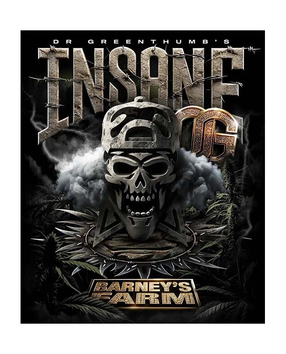 Insane OG | Barney's Farm