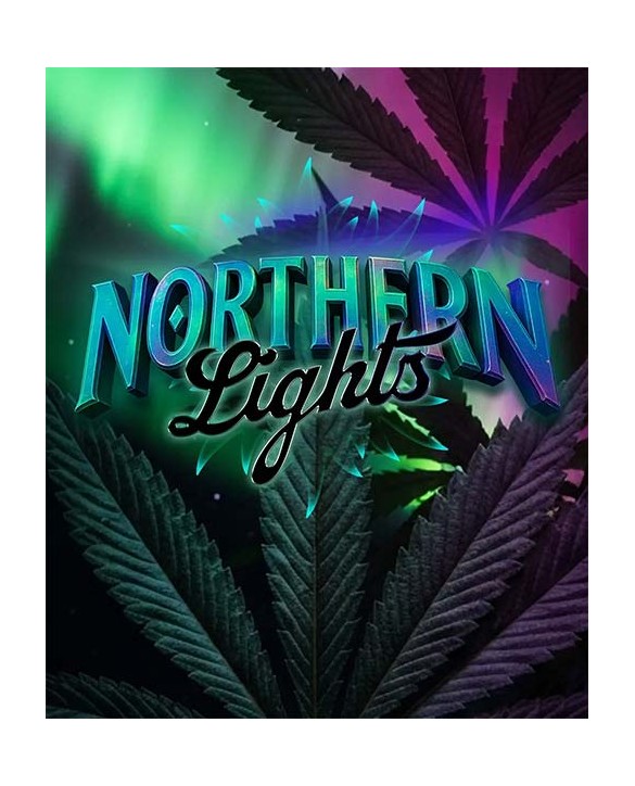 Northern Lights | Barney’s Farm