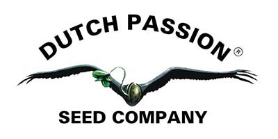 Dutch Passion