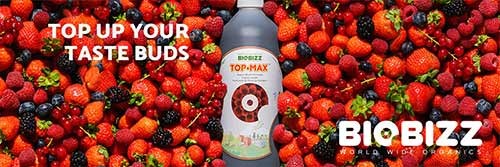 Biobizz Top Max - organski pospeševalec cvetenja